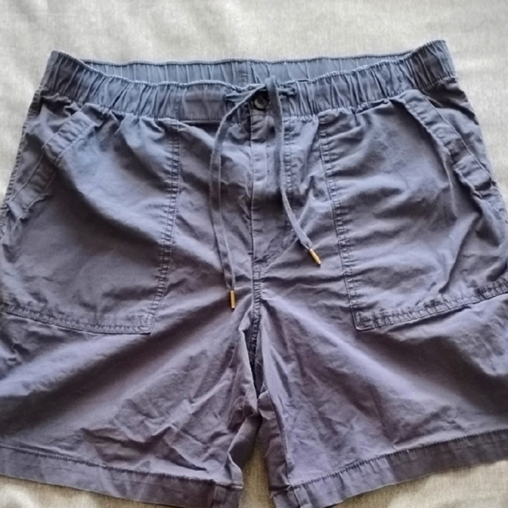 RALPH LAUREN Men's Navy Blue Athletic Shorts